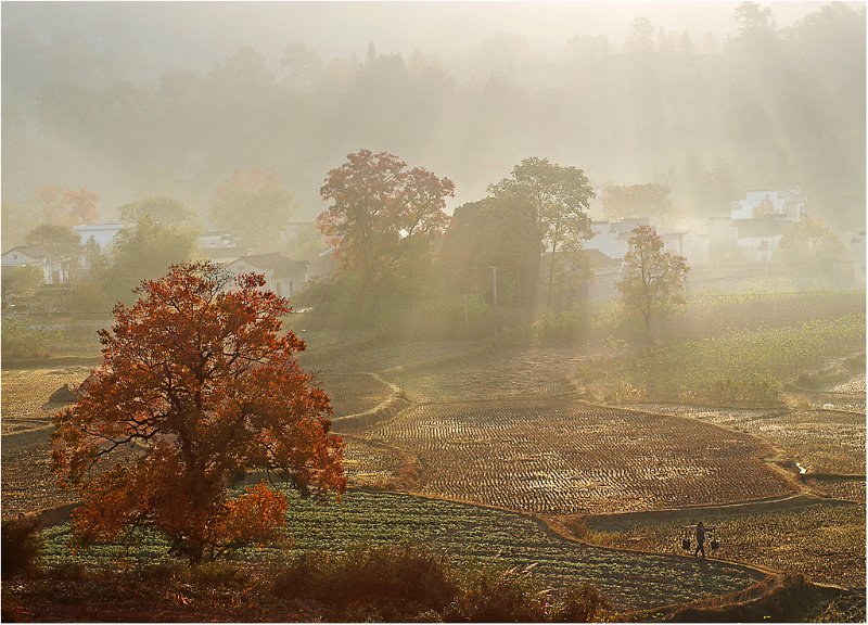 148 - autumn of hong villag - YANG Guomei - china.jpg